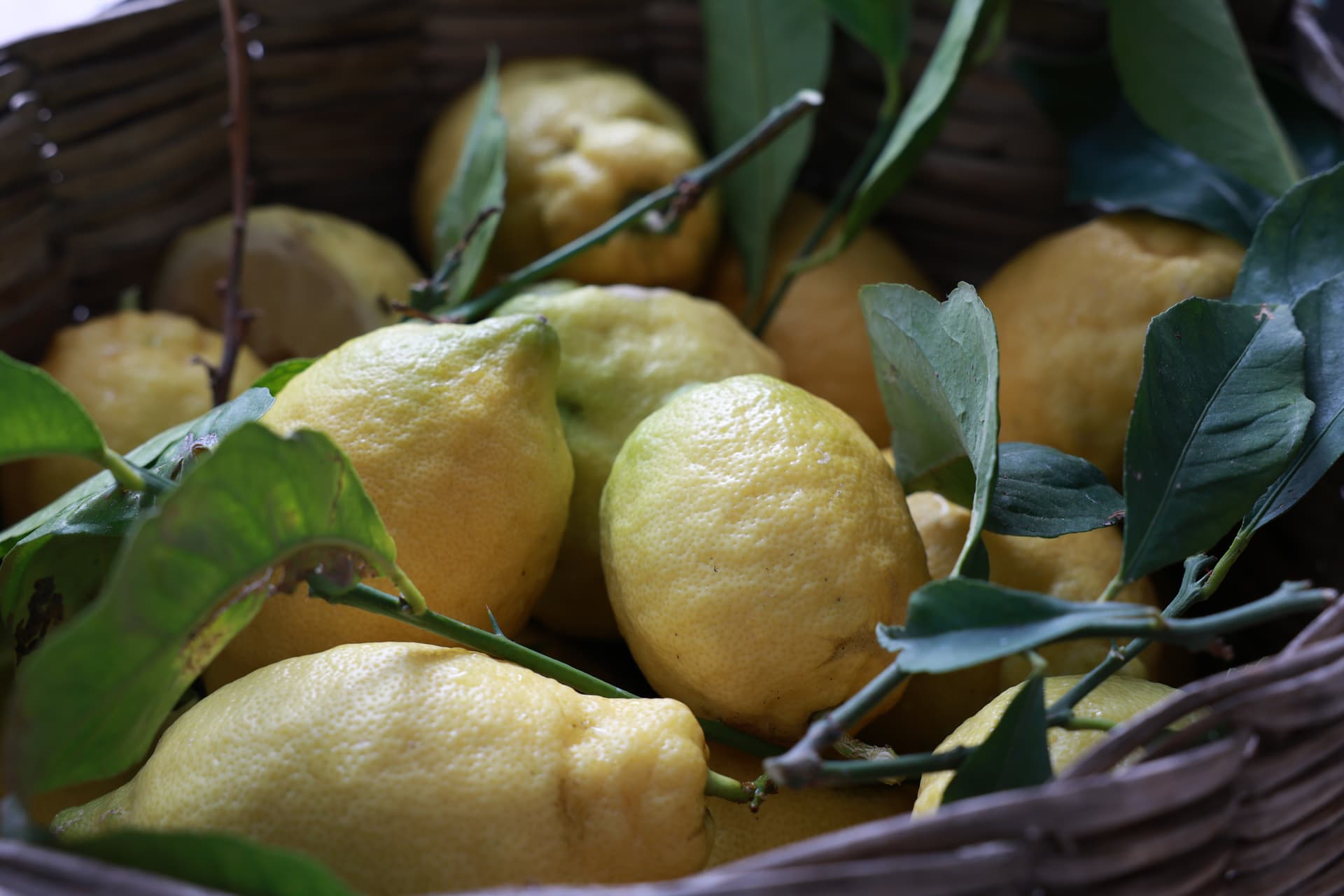 The Amalfi Coast Sfusato Lemon IGP