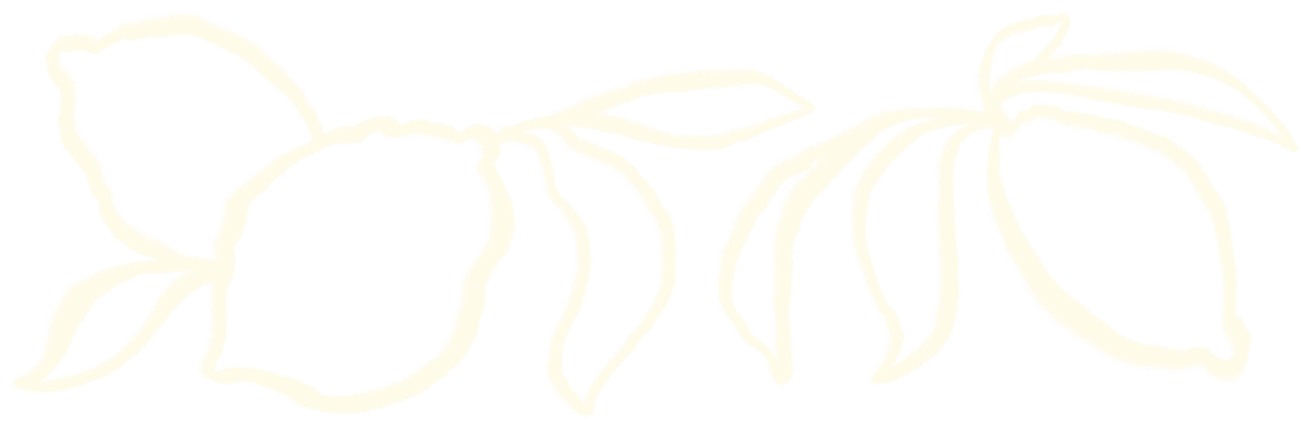 top illustration